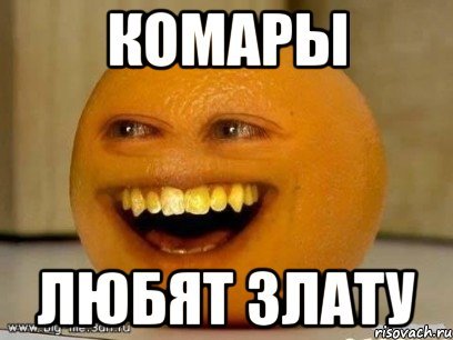 Шутки про Злату