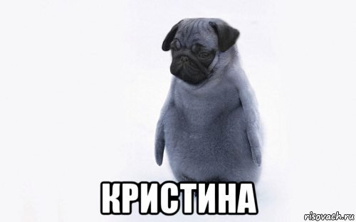 Кристина Мем