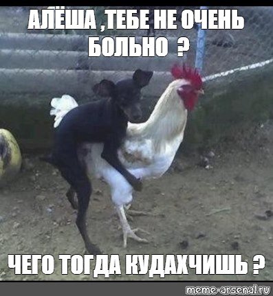 Петух Алеша
