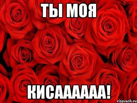 Мемы про розу