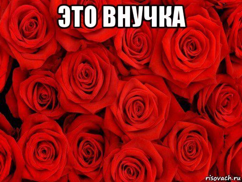 Мемы про розу