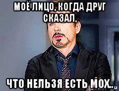 Мемы про мох