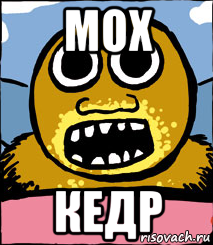 Я мох Мем