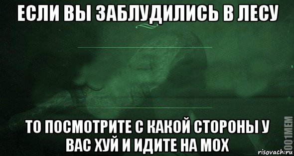 Если вы заблудились то идите домой