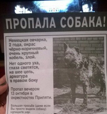 Мемы октябрь 2020