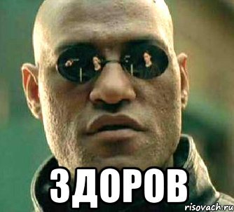 Здорово Мем