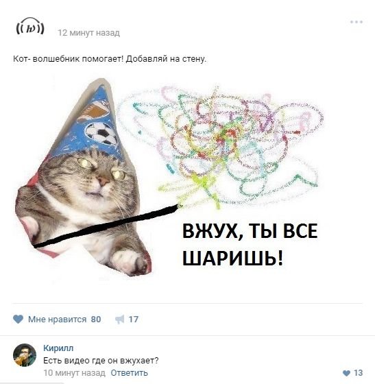 Кот волшебник вжух