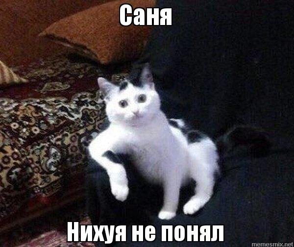 Нет слов одни эмоции