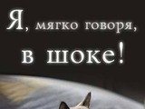 Нет слов одни эмоции кот