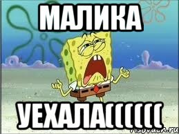 Малик мемы