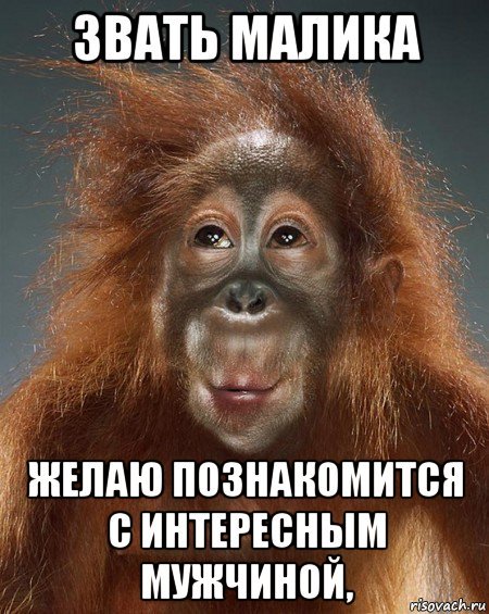 Мужик обезьяна Мем