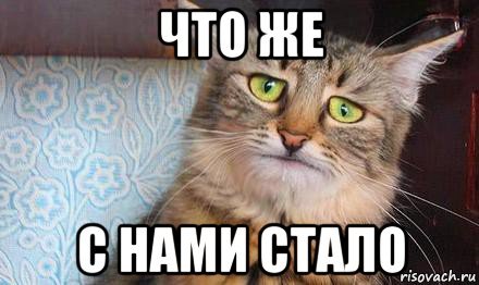 Когда звонишь маме Мем