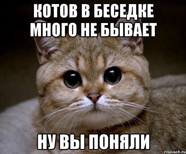 Картинка бля ну бывает