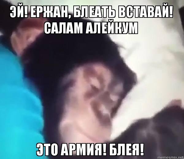 Эрджан вставай