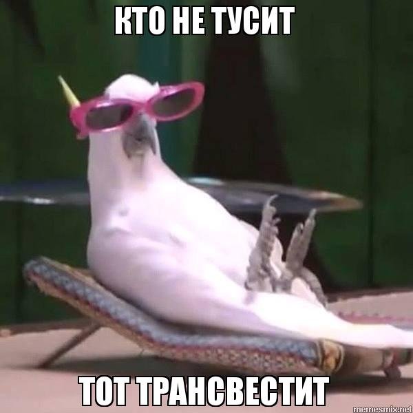 Кто грустит тот