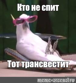 Мемы с очками