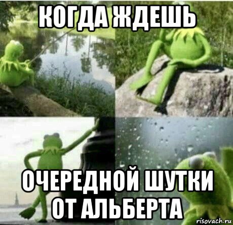 Приколы про Альберта