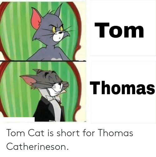 Крадущийся кот том