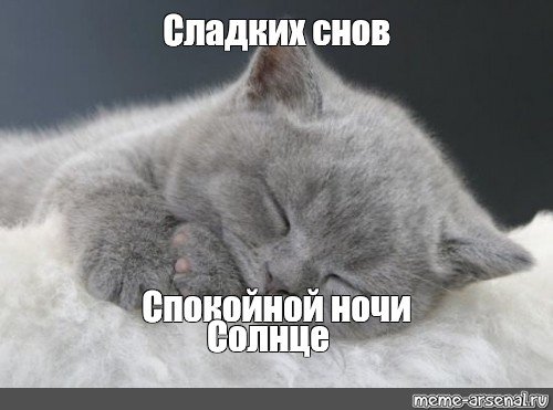 Сладких снов мой котик