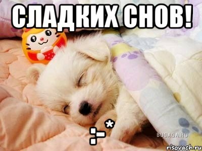 Сладких снов Мем