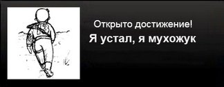 Мухожук красивый