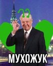 Я устал я мухожук