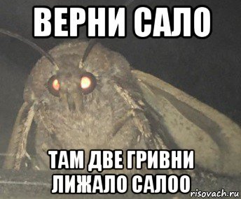 Сало сало отдай