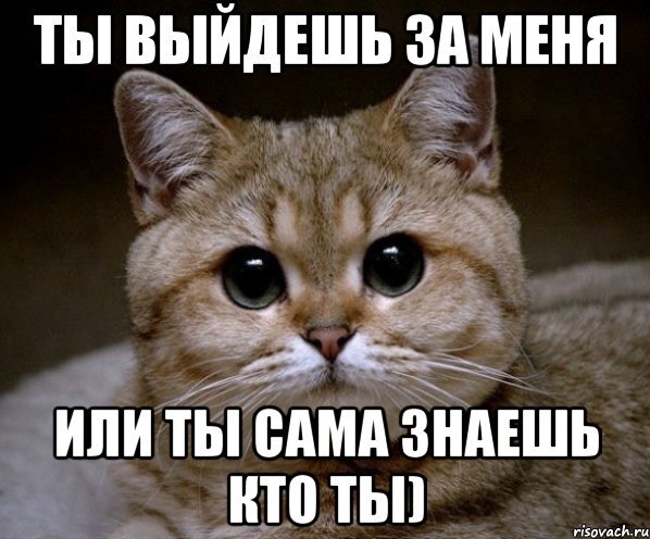 Картинка ты выйдешь за меня