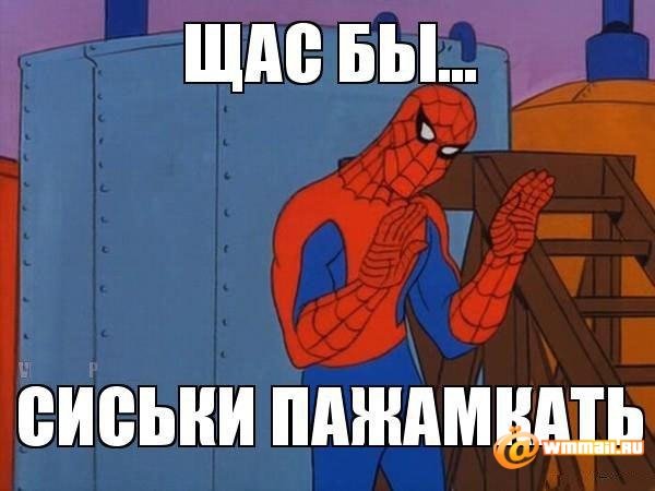 Покажи тити Мем