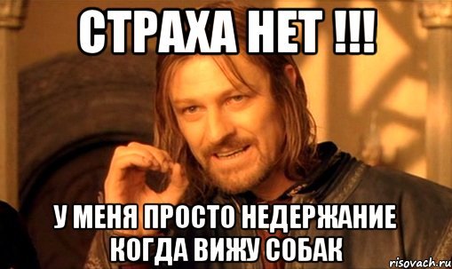 У меня нет страха