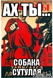 Мемы про собаку сутулую
