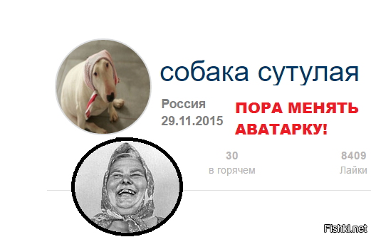 Мемы про собаку сутулую