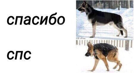 Спс спасибо