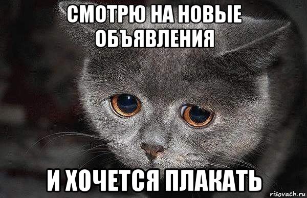 Хочется плакать Мем