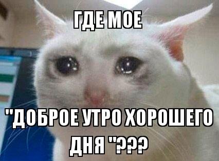 Где моё доброе утро