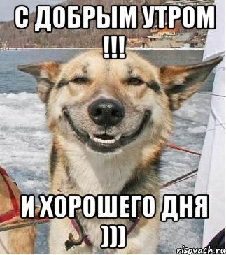 С добрым утром Мем