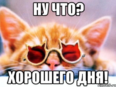 Добрый день Мем