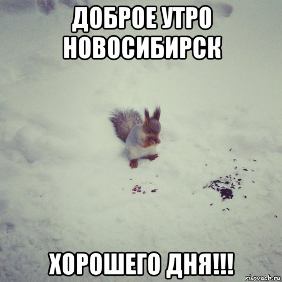 Доброе утро хорошего дня мемы