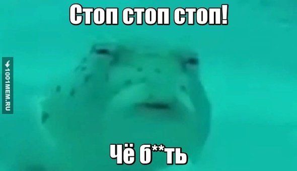 Стоп стоп Мем