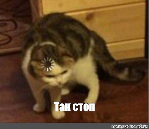 Так стоп кот Мем