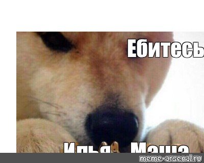 Баянистые мемы из 2013
