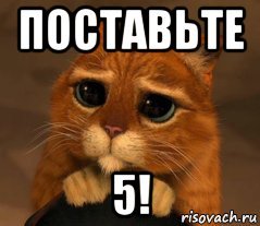 Кот поставьте 5