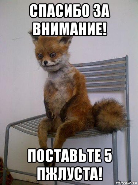 Спасибо за внимание