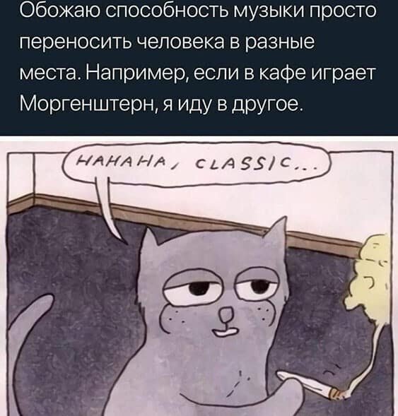 Кот хаха Классик