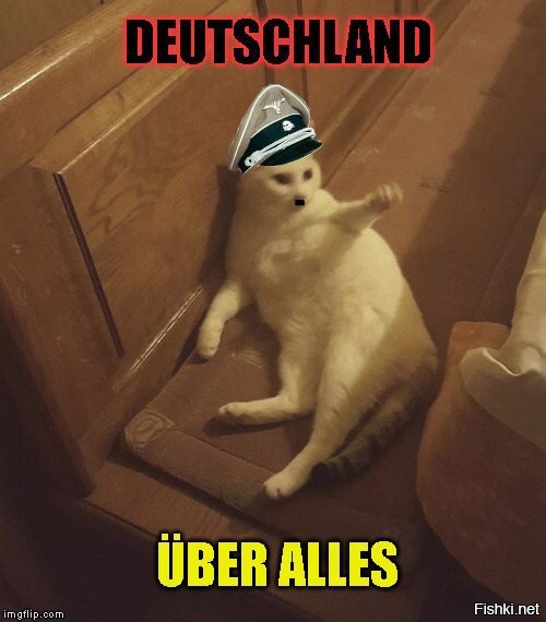 Кот фюрер