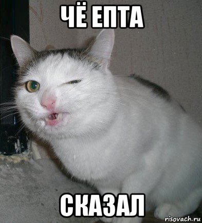Ну че епта