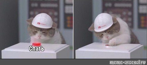Котенок not hehe