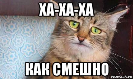 Смешные картинки ха ха