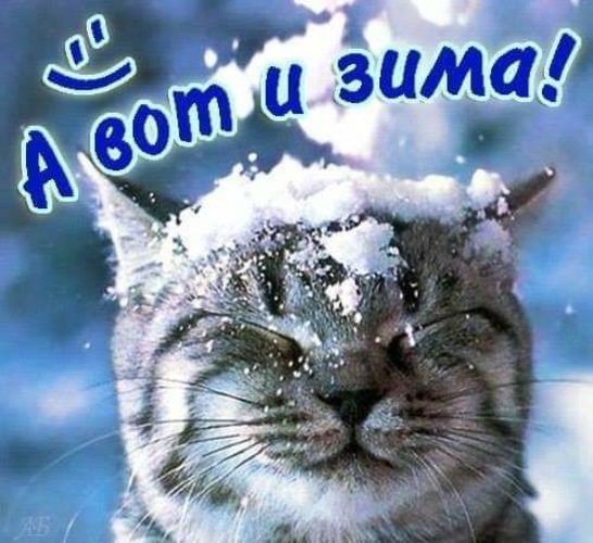 С первым днем зимы доброе утро
