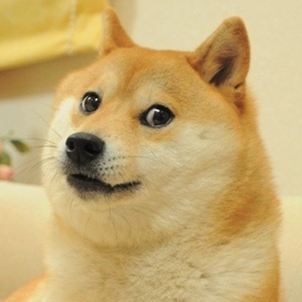 Грустный Doge